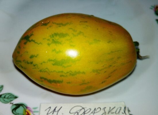 Гном Дерзкая Мэри